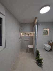 La charmante remise dAlsace - Appartement Bretzel