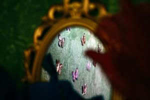 "The Enchanted Forest" Budget Guest House - Self-check-in, instructions on the listing