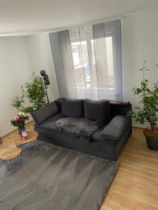 Apartment Hornberg- Zara
