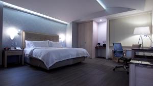 Holiday Inn Express Mexico- Toreo by IHG