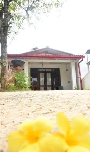 Miu Villa