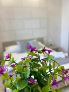 Marsala Home Alloggio
