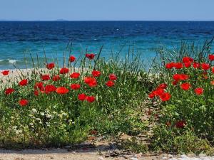 Pine Beach holiday home 2 bedrooms 50 meters to the beach