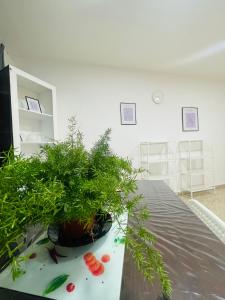 Alicante Family Home Stay PARKING