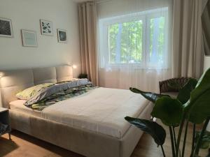 Apartament Kapitańskie Zacisze - Świnoujście