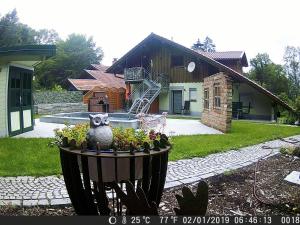 Ruhige Oase mit Pool & Garten Ferienwohnung Niggl