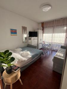 Holiday D-334 Studio Apartment PSM