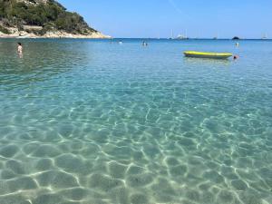Ortensia Apartment a soli 200 mt dal mare