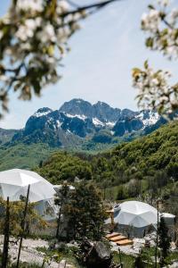 Ursa Camp Boutique Glamping