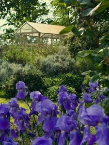 B&B Ostria Vento