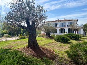 Elba Essence Suites