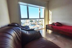 Apolo Suite
