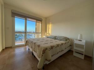 Apolo Suite