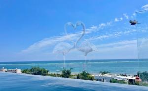 Private Suite, Walk to the Beach, Oceanview Rooftop Pool, WiFi StarLink