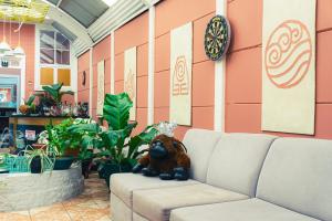 The Nomad Hostel - SJO Airport San Jose 5 min - Private, WiFi & Coffee