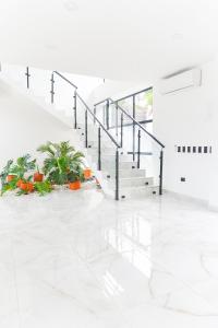 Finca golden house en santa fe de antioquia