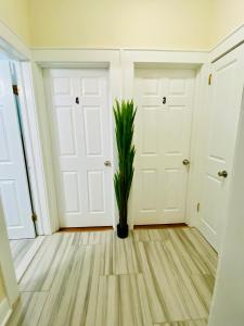 Tropical Oasis - Room 4
