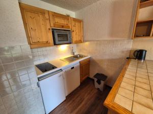 Studio fonctionnel animaux OK - 4 pers. au pied des pistes - FR-1-811-53