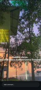 Golden Grove Treetops