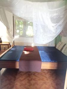 Apollo Hostel