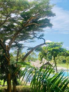 Wanderlust at Golden Sun