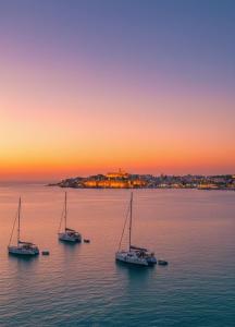 Catamaran en Ibiza