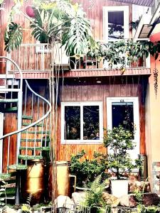 KiMi HomeStay