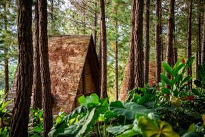 Los Pinos EcoHotel
