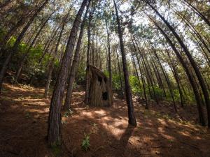 Los Pinos EcoHotel