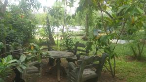 sigiriya village home stay