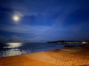 Arugam Bay Resort