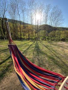 Casa de Vacanță Haneș - Private Cabin - Orchard & Mountain Views - Transalpina & viaTransilvanica