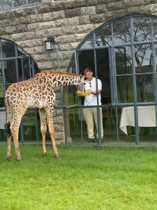 Giraffe Manor Tanzania