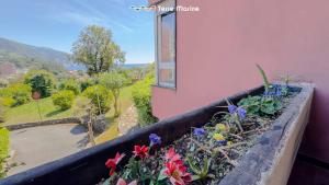 Il Poggio sul Mare, Terre Marine