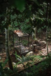 Kawa Munduk Cabins