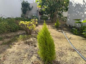 BnB Homes Ocean Breeze Terrace Apartment 400 m away from the Ocean