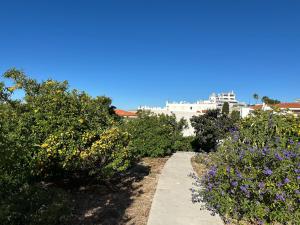 BnB Homes Ocean Breeze Terrace Apartment 400 m away from the Ocean