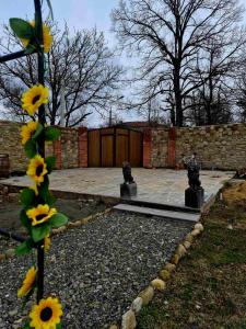 Cest La Vie - Cottages in Sabaduri Forest