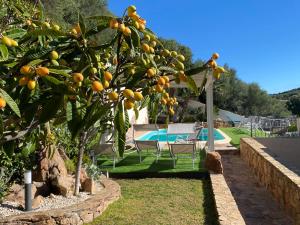 Villa Mariposa exclusive private pool img52