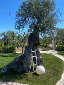 Tenuta Verdolivo