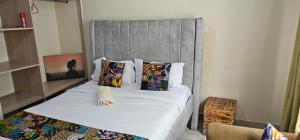 Cozy 1br in Syokimau