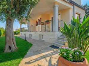 Suite Solea