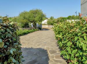 Suite Solea img20