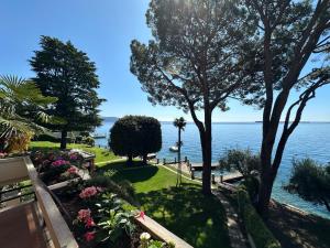 Villa delle rose 66