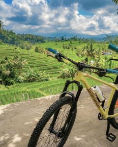 Green Earth Bali luxury Bamboo villas