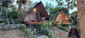 Pai yard on Hill