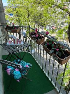 Garden Escape