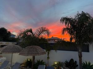 Palma House - Dream Holidays