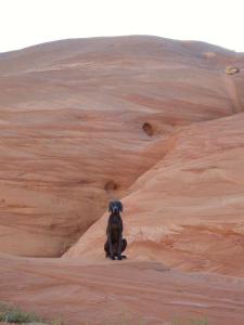 Pet-Friendly Modern Vacation Home with Vermilion Cliffs Views, Boat Parking & Fenced Yard near Horseshoe Bend & Lake Powell, Page Arizona