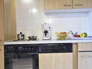 Spacious Apartment in Boddin with Garden